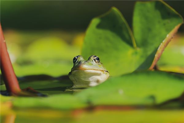 命带有克制人与生活智慧的启示